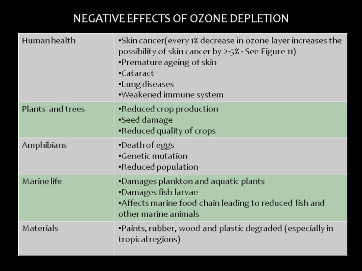 What are the effects of ozone depletion?
